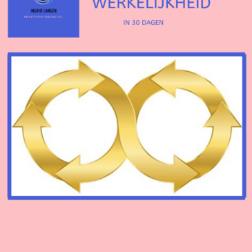 De luchtwegen van je paard – het verhaal van Amorin