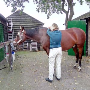 Helen of genezen, wat is het verschil?