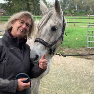 Mijn te dikke paard valt af – afl. 2